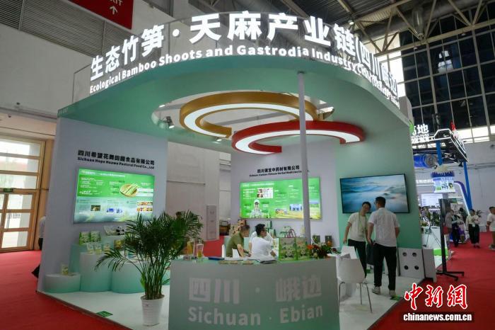 深度解析：GG扑克顶级赛事战术 - GG扑克